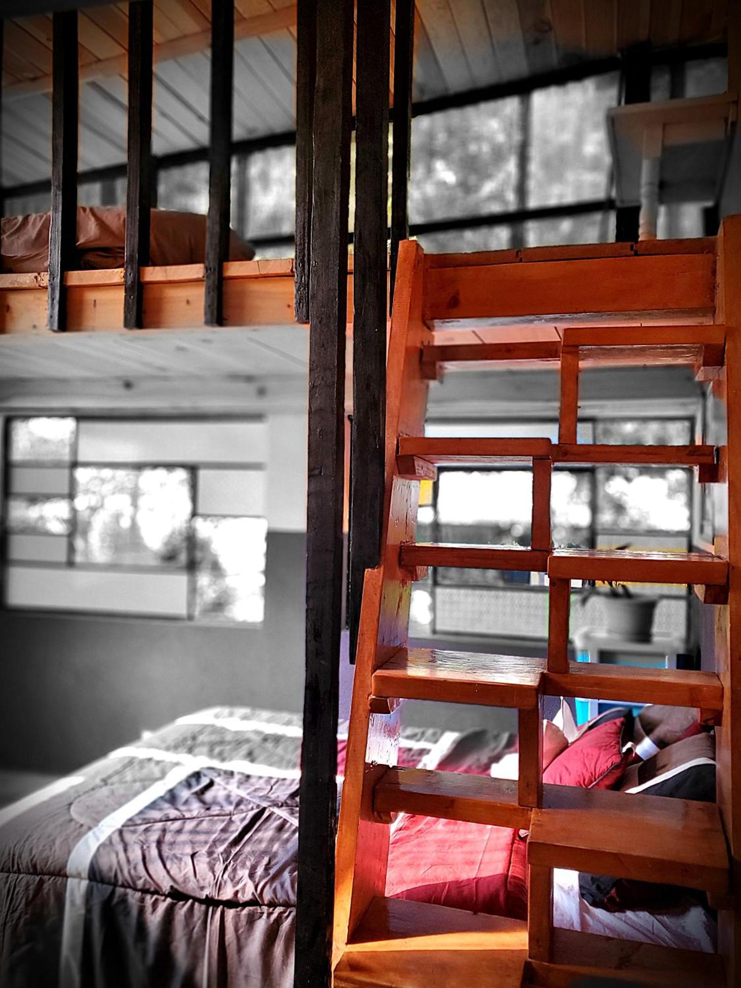 Art & Coffee Hotel ซานตาครูซลาลากูนา ภายนอก รูปภาพ
