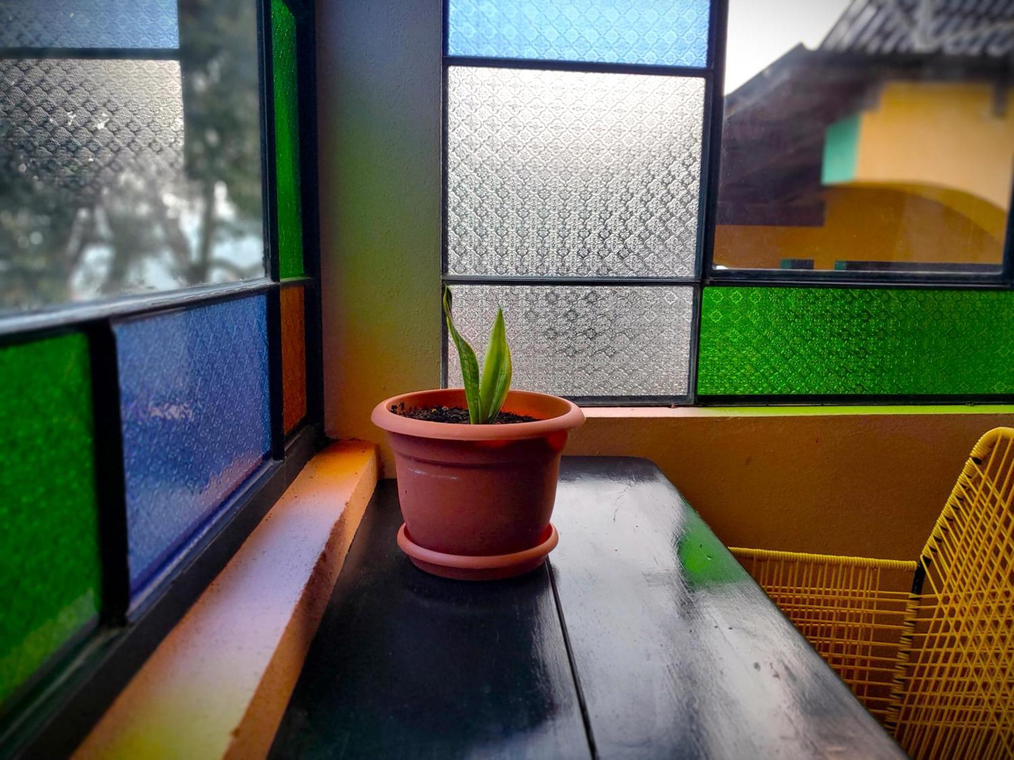 Art & Coffee Hotel ซานตาครูซลาลากูนา ภายนอก รูปภาพ